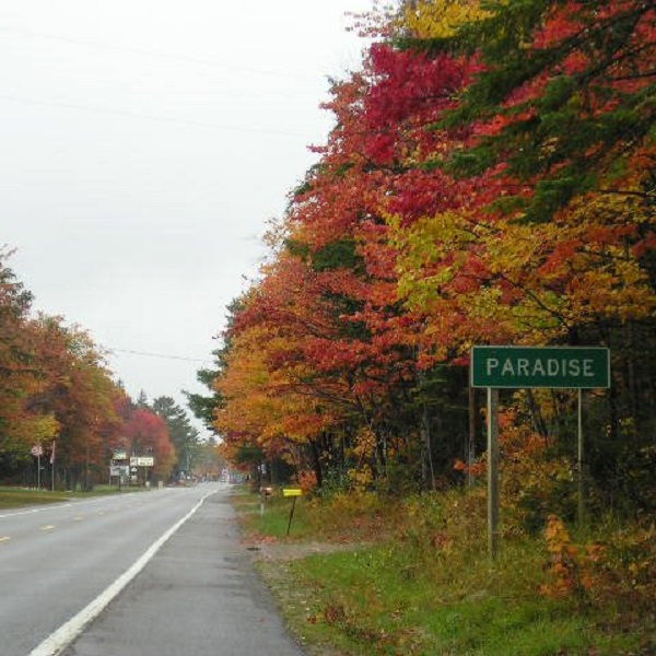 Fall colors envy New England in Paradise, and it’s the time to visit the cranberry bogs.