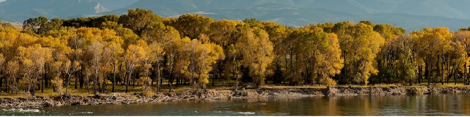 Manhattan Area Chamber of Commerce   - Header Image