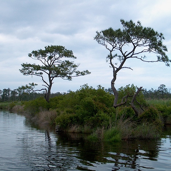 Once a bustling port, Currituck County has long been known for its peaceful way of life.