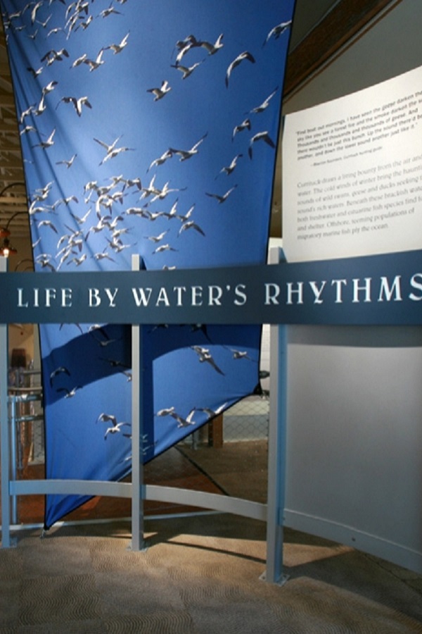 Corolla Horses and Center for Wildlife Education - Display Image