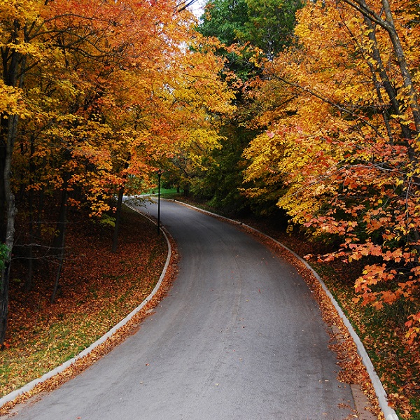 Nature provides visitors with vibrant colors as Fall settles on Mankato each year. 