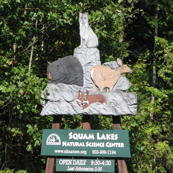 Squam Lake Natural Science Center provides visitors with an understanding of the natural world of northern New Hampshire.