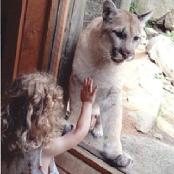 The center’s theme “Nearer to Nature” is apparent in all of its exhibits. Animals serve as ambassadors to the center once they have been deemed unable to survive in the wild.