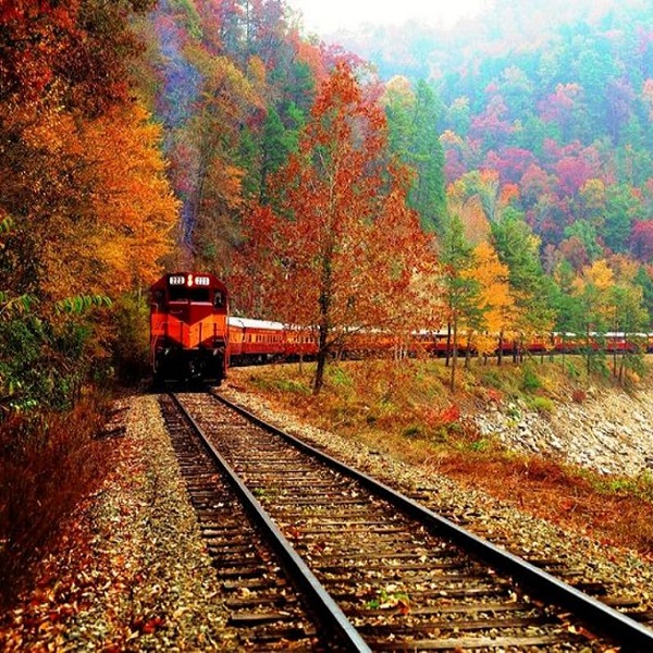 Mt. Washington Valley Chamber of Commerce and Visitors Bureau      - Webpage Image