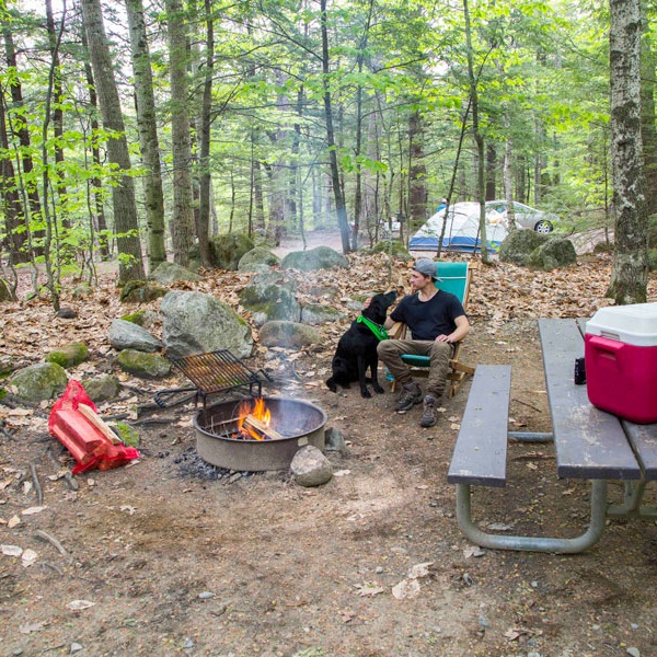 The Appalachian Trail passes through Crawford Notch. The Dry River Campground offers a pleasant stay for hikers. 