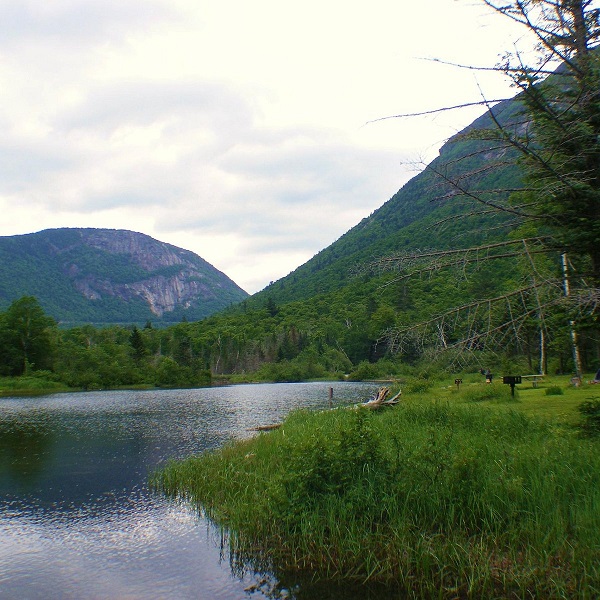 Take in the stunning reflection at Willey Pond and enjoy a picnic lunch at one of the picnic tables with a view. 