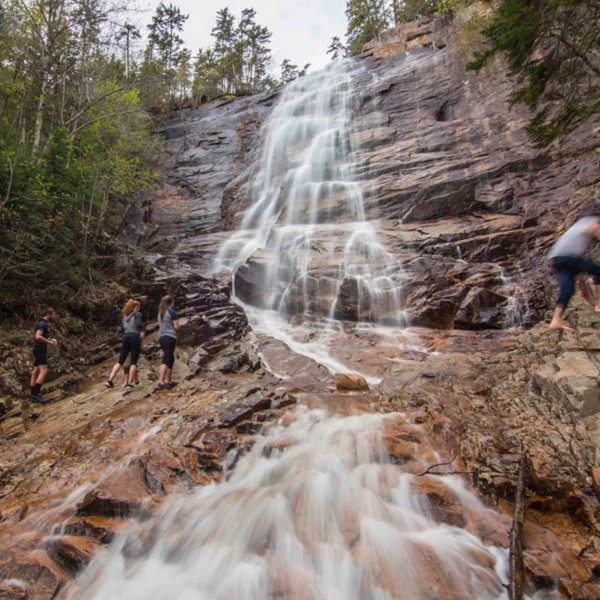 Arethusa Falls Crawford Notch State Park - Webpage Image