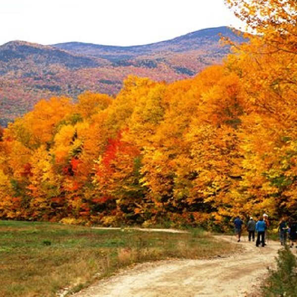The Fall Foilage makes autumn is one of the most popular times to visit Waterville Valley. 