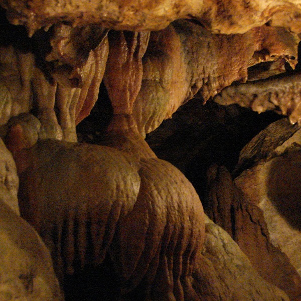According to tour guides here, humans go blind from being in total darkness for 3 to 6 months, but will hear imaginary voices in just minutes. 