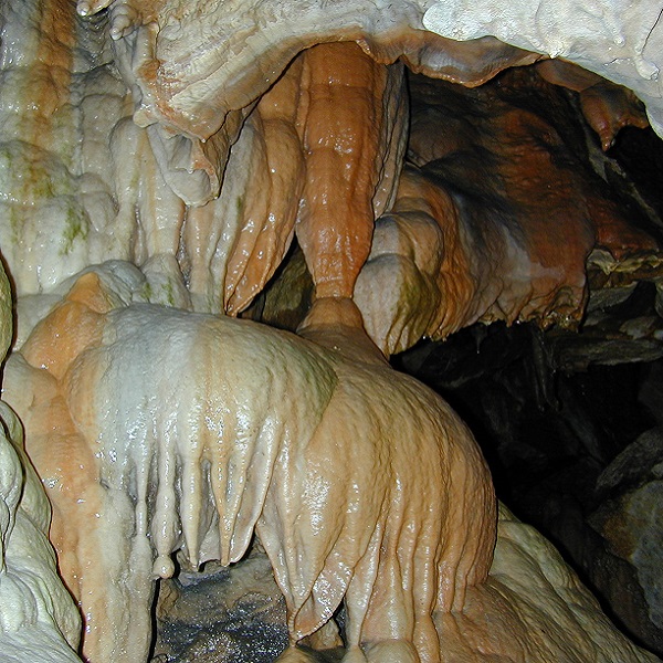 North Carolina has over 900 caves, but Linville Caverns is the only show cave in the state. 