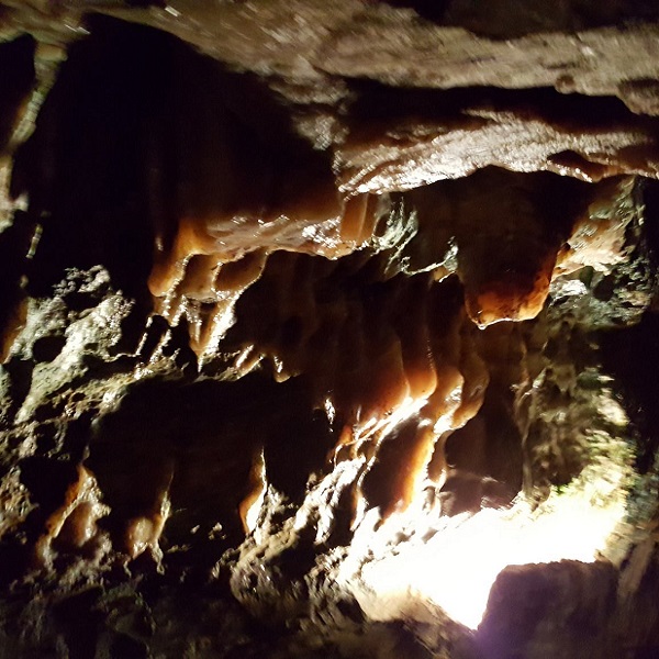 A fisherman who saw trout that appeared to swim right into Humpback Mountain discovered Linville Caverns in 1822. 