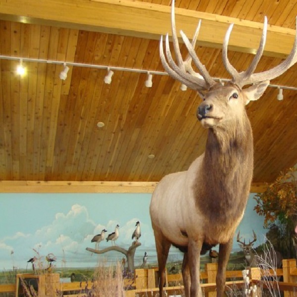 A small but useful interpretive center can be found at park headquarters.