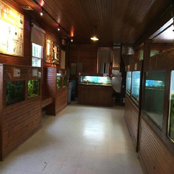 In 1982, the Cold Spring Harbor Fish Hatchery closed its door as a hatchery and opened the next day as an educational science center and aquarium. 