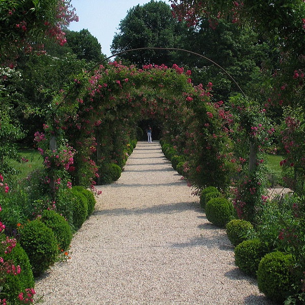 Planting Fields Arboretum. 