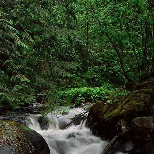 The trail to the waterfall can take hikers to the top of the ridge for a great view, including New York City. 