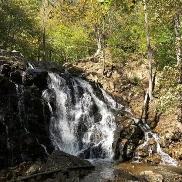 Ramapo Falls - Webpage Image