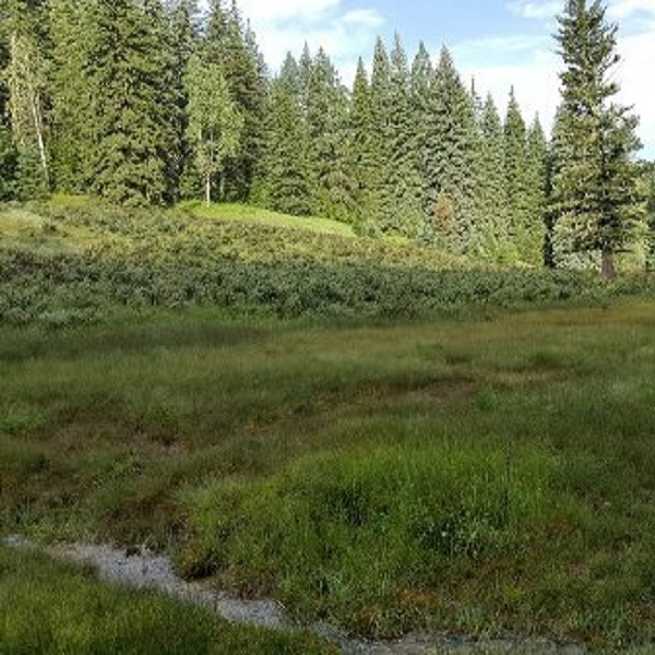 The Bluff Springs National Recreation Area Campground features primarily dispersed camping, with a few partially developed sites. 