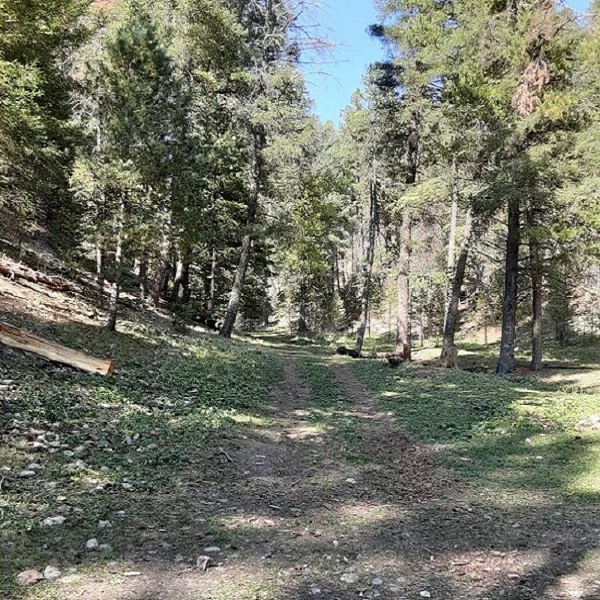 This is one of Bluff Springs Campground’s partially-developed site. The campground is primarily primitive dispersed camping. 