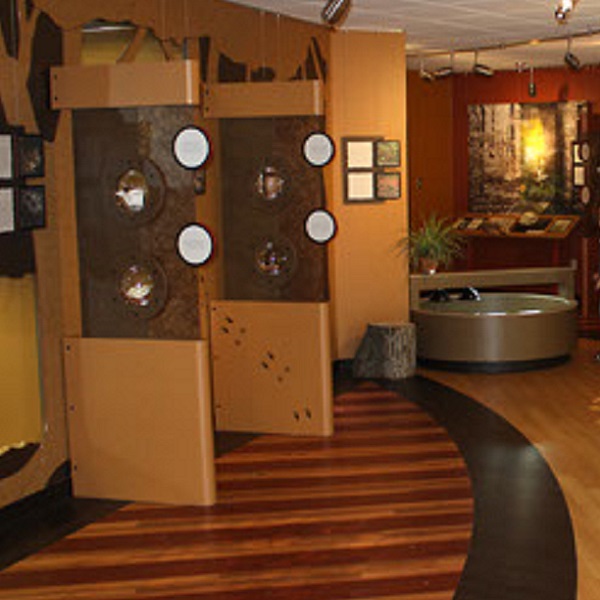 The Brukner Nature Center offers visitors interpretive exhibits on Ohio’s native flora and fauna, live animal displays, and an aquarium.