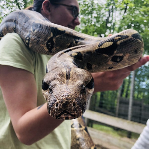 Fort Rickey Discovery Zoo  - Webpage Image