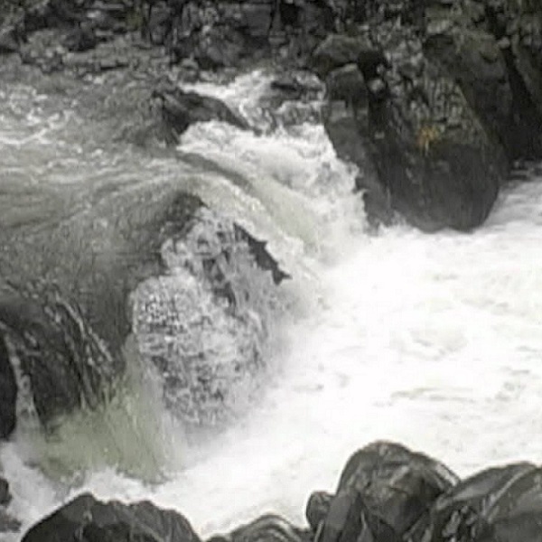 The Little Illinois River Falls is a great place to view salmon jumping. 