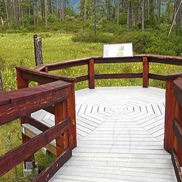 Nearby Eight Dollar Mountain Botanical Trail Boardwalk features the Pitcher Plant, the west’s only carnivorous plant. 
