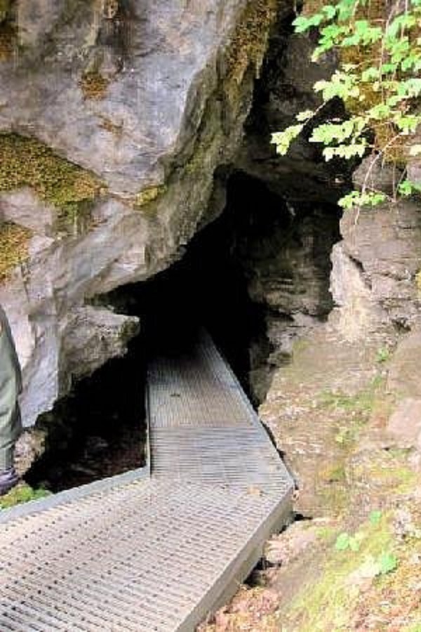 Oregon Caves National Monument  - Display Image