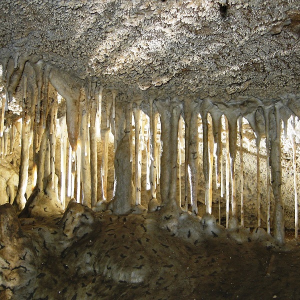 Oregon Caves National Monument  - Webpage Image