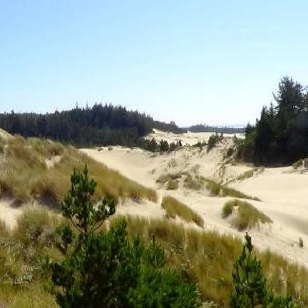 The Oregon Dunes run for 47 miles along the central Oregon coast.