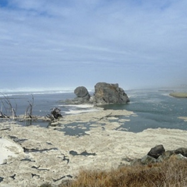 Just south of town, the rock formation just off the beach resembles a turtle rising out of the ocean, hence, the name of “Turtle Rock.” 
