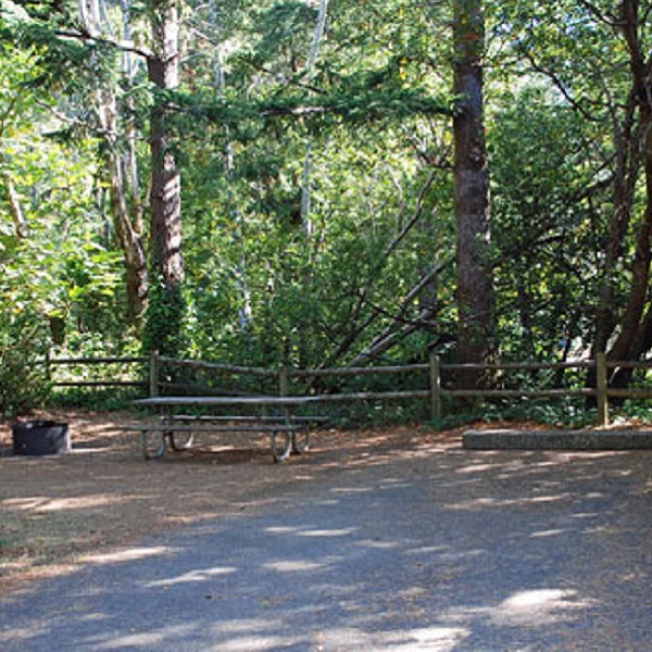 Many campsites are semi-private, and include level pad, fire ring and picnic table. 
