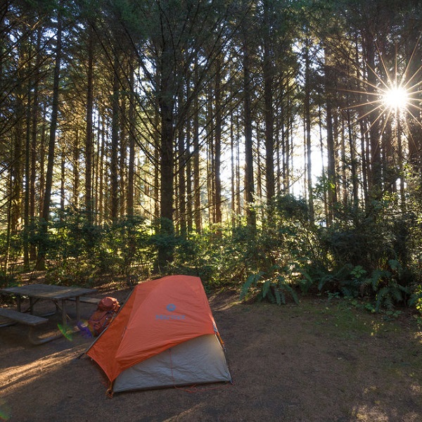 The dense forest of the Oregon Coast provides a great tent camping experience. 