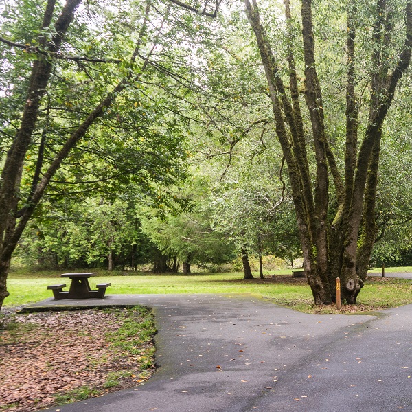 Humbug Mountain State Park - Webpage Image