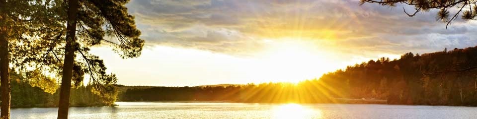 Greater Lexington Chamber and Visitor Center  - Header Image