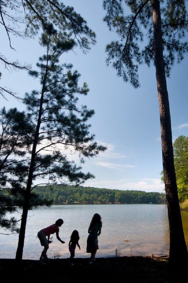 Dreher Island State Park - Display Image
