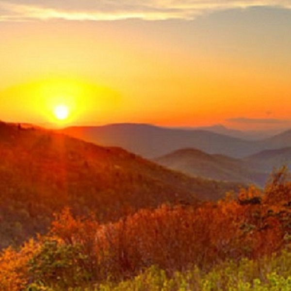 Pigeon Forge Chamber of Commerce      - Webpage Image
