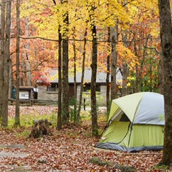 Most campsites are in wooded areas in Elkmont Campground, and has access to flush toilets and hot showers. 