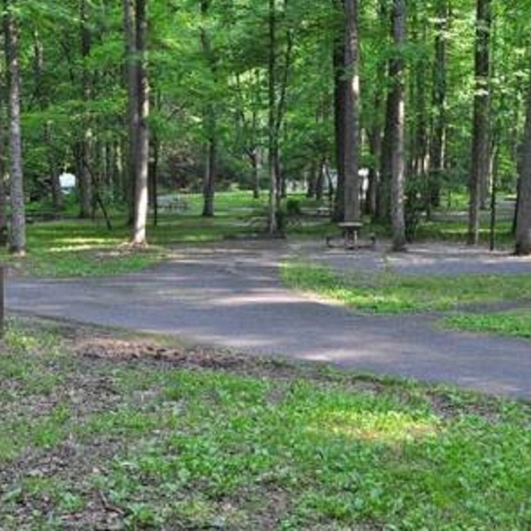 Sites are mostly level and many can accommodate larger RVs. 