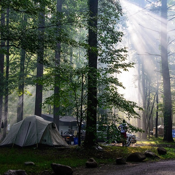 Elkmont Campground-Great Smoky Mountains National Park - Webpage Image