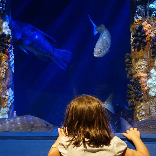 Audubon Nature Center and Aquarium - Webpage Image