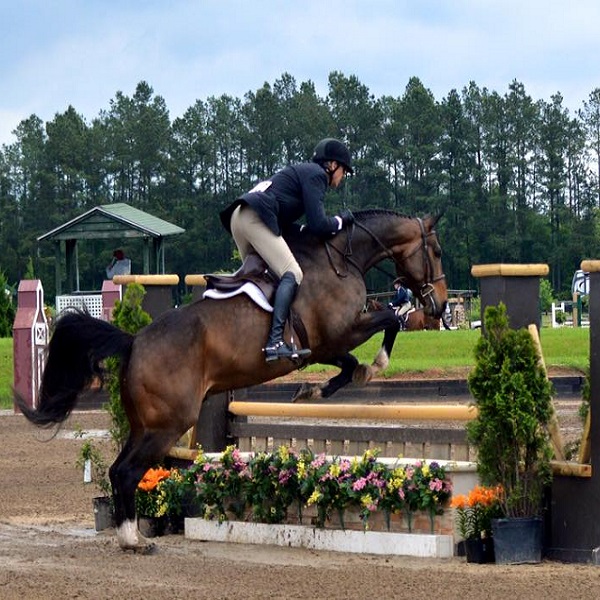 Equestrians are drawn to Aiken for it premier events, such as the Aiken Spring Classic. 
