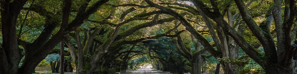 Visit Aikens - Header Image