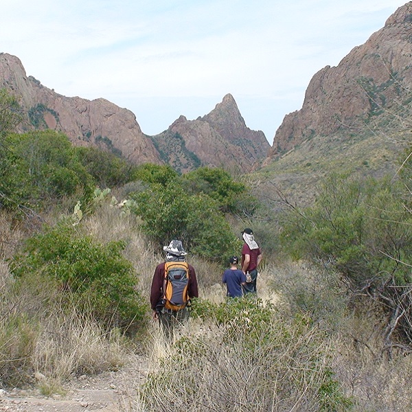 Dense vegetation in the arroyos provides good habitat for animals and it is not uncommon to see their tracks and scat. 