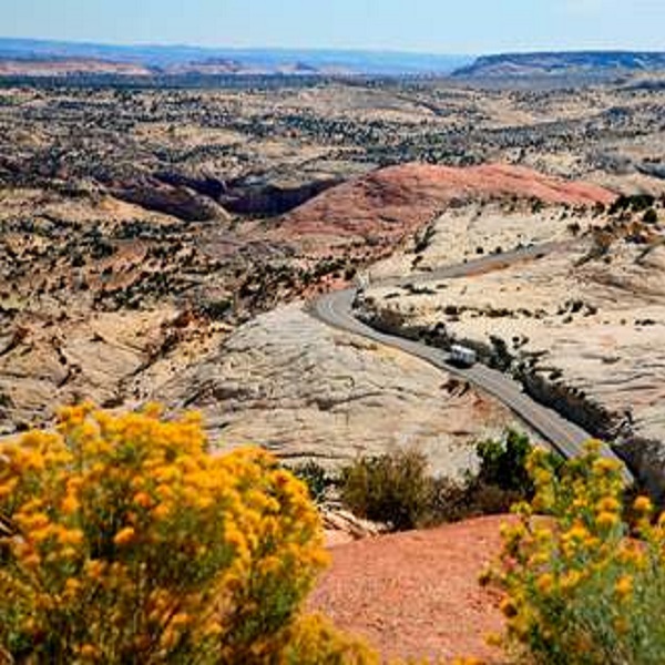The park’s petrified wood dates back roughly 135–155 million years, originally buried in floodplain muds that preserved conifer trees through silica replacement.