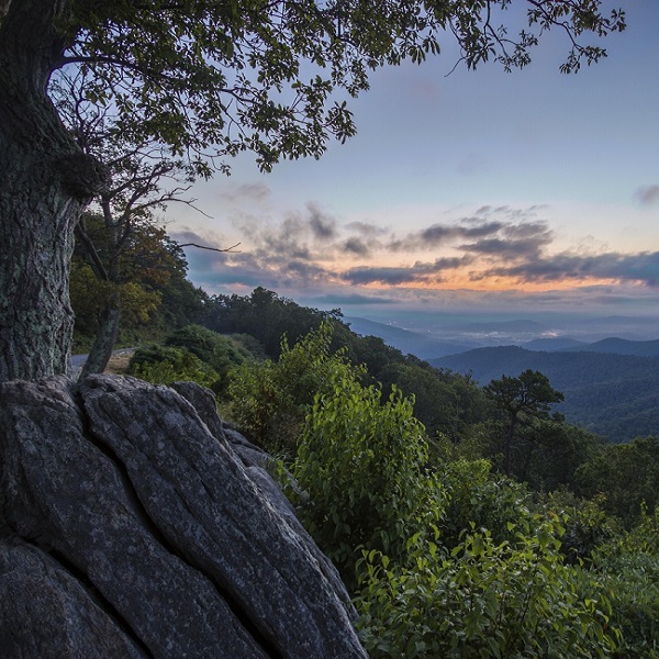 Luray-Page County Chamber of Commerce and Visitor Center      - Webpage Image