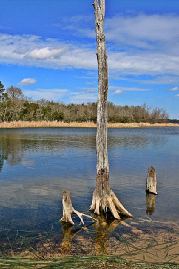 Bastrop Economic Development Corporation    - Display Image