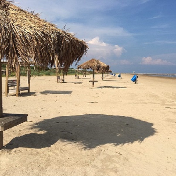 Miles of golden sand teeming with seashells and marine life make Surfside Beach the perfect retreat for recreational athletes, sun worshipers and nature lovers alike. 