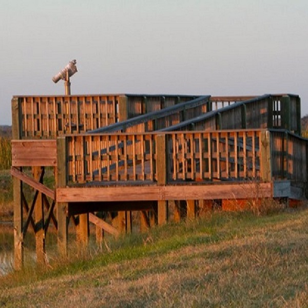 The Quintana Neotropical Bird Sanctuary is full of salt cedars, dunes, gulf frontage and brackish marshes. A large observation tower, trails and benches are perfect for spotting wildlife. 
