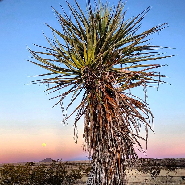 Soak up the empty landscapes and enjoy the grand scale of land and sky in Marathon. 