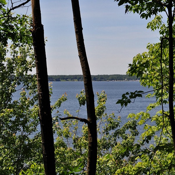 Hiking trails offer intermittent scenic views of Lake Champlain. 